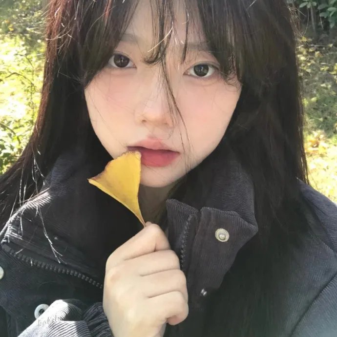 睡花 海报